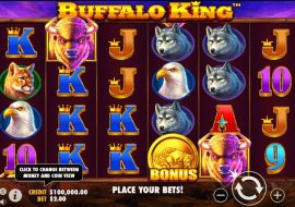 buffalo-king