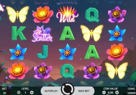 butterfly-staxx