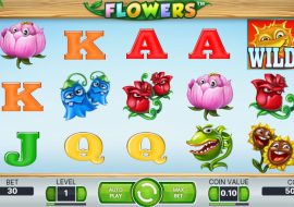 flowers
