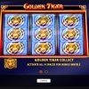 golde-tiger