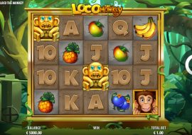 loco-the-monkey