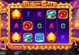 pushy-cats