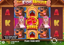 the-dog-house