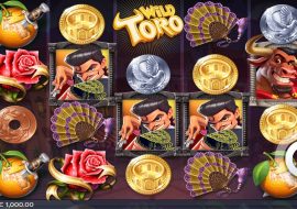wild-toro