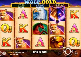 wolf-gold
